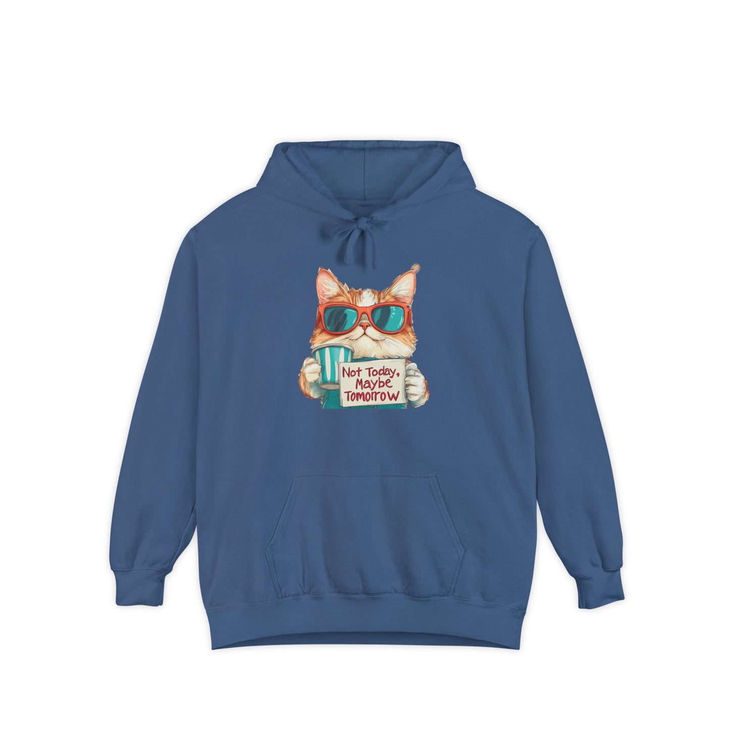 Funny Hoodies Collection - Cat Lover's Funny Hoodie - "Not Today, Maybe Tomorrow"