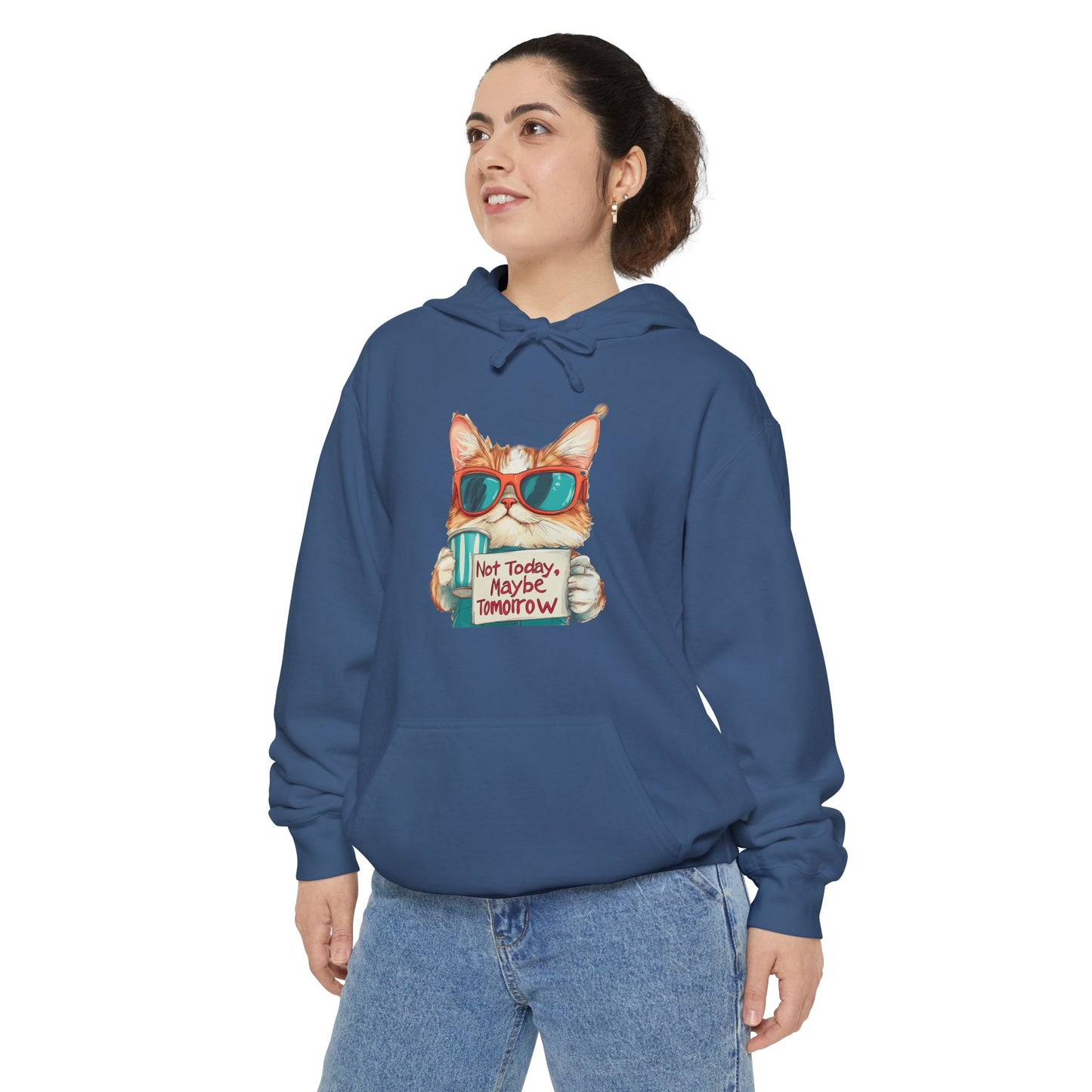 Funny Hoodies Collection - Cat Lover's Funny Hoodie - "Not Today, Maybe Tomorrow"