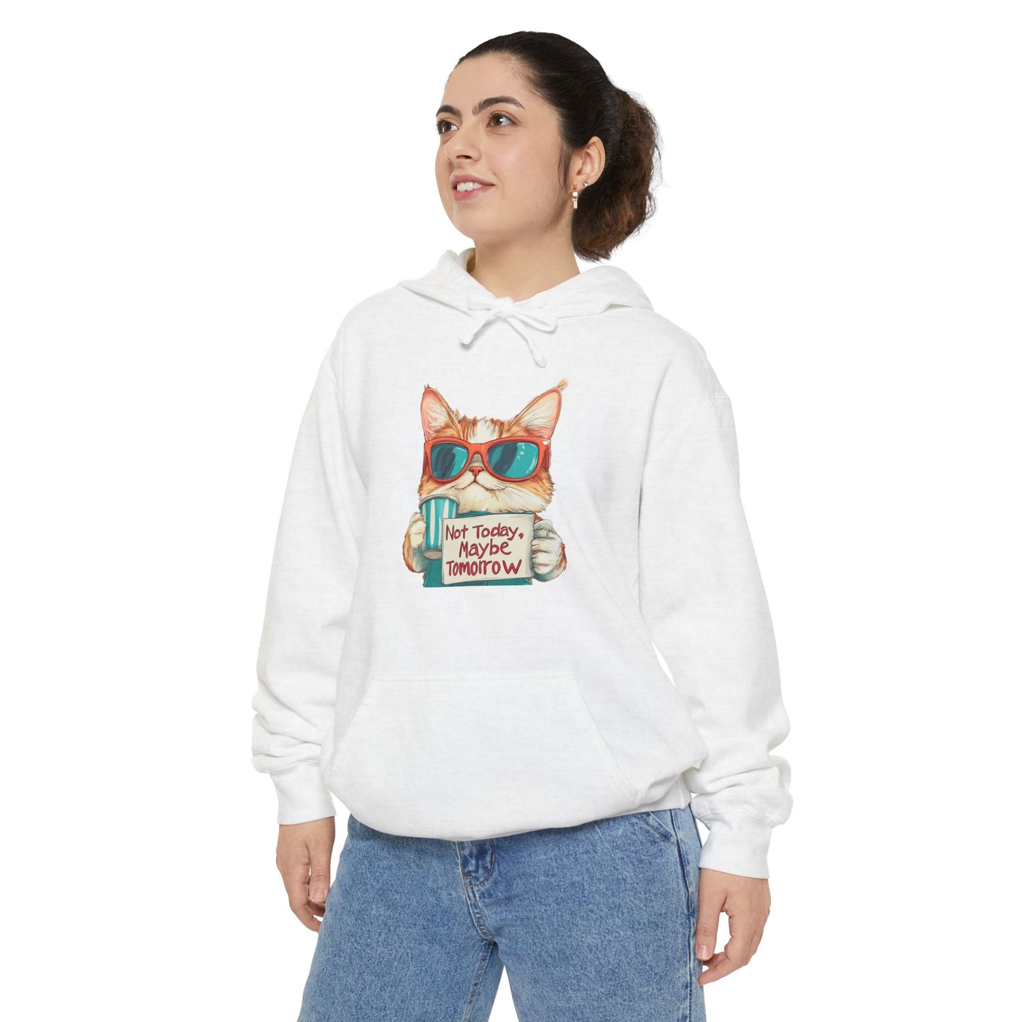 Funny Hoodies Collection - Cat Lover's Funny Hoodie - "Not Today, Maybe Tomorrow"