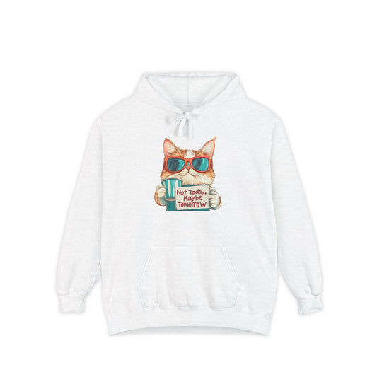 Funny Hoodies Collection - Cat Lover's Funny Hoodie - "Not Today, Maybe Tomorrow"