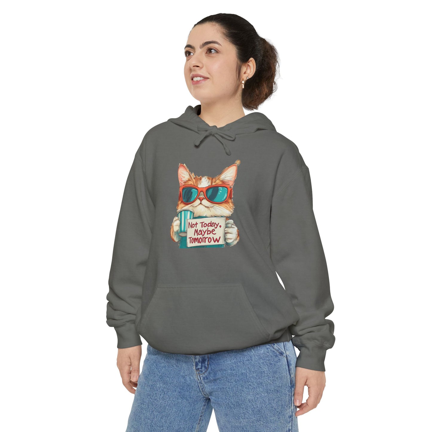 Funny Hoodies Collection - Cat Lover's Funny Hoodie - "Not Today, Maybe Tomorrow"